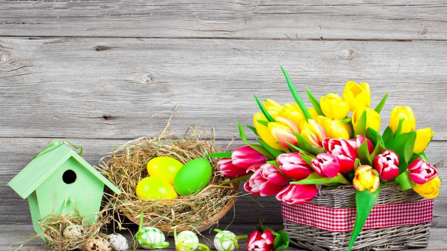 Открытка тюльпаны на пасху и гнездо с яйыами  пасха  Happy Easter 